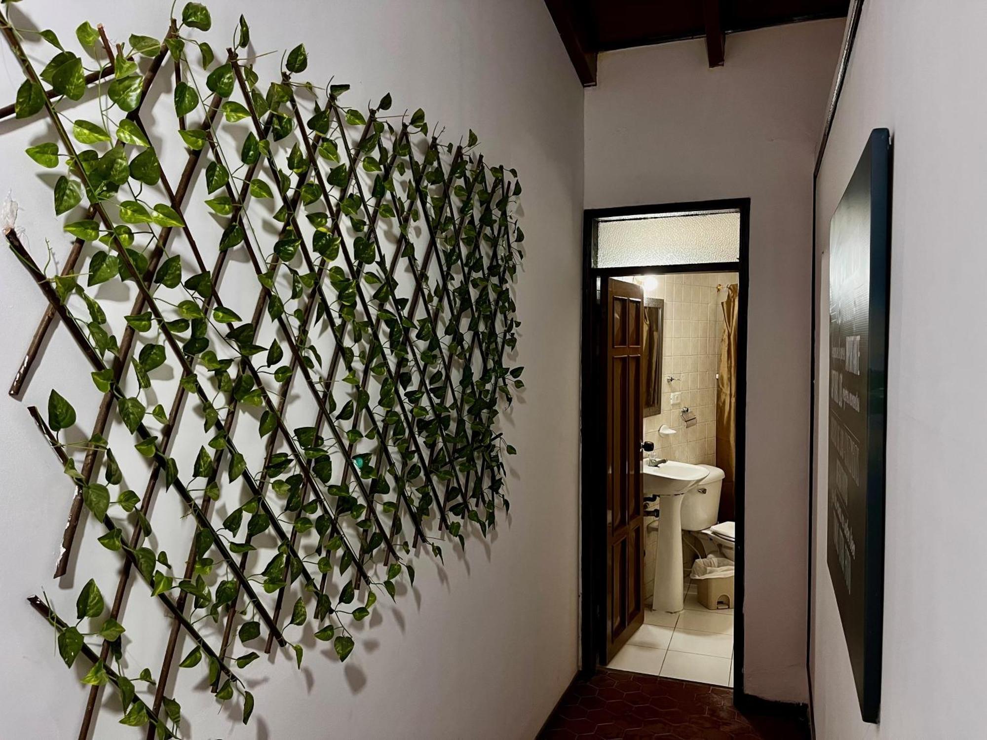 The Chill In Mansion Hostel Santa Marta المظهر الخارجي الصورة