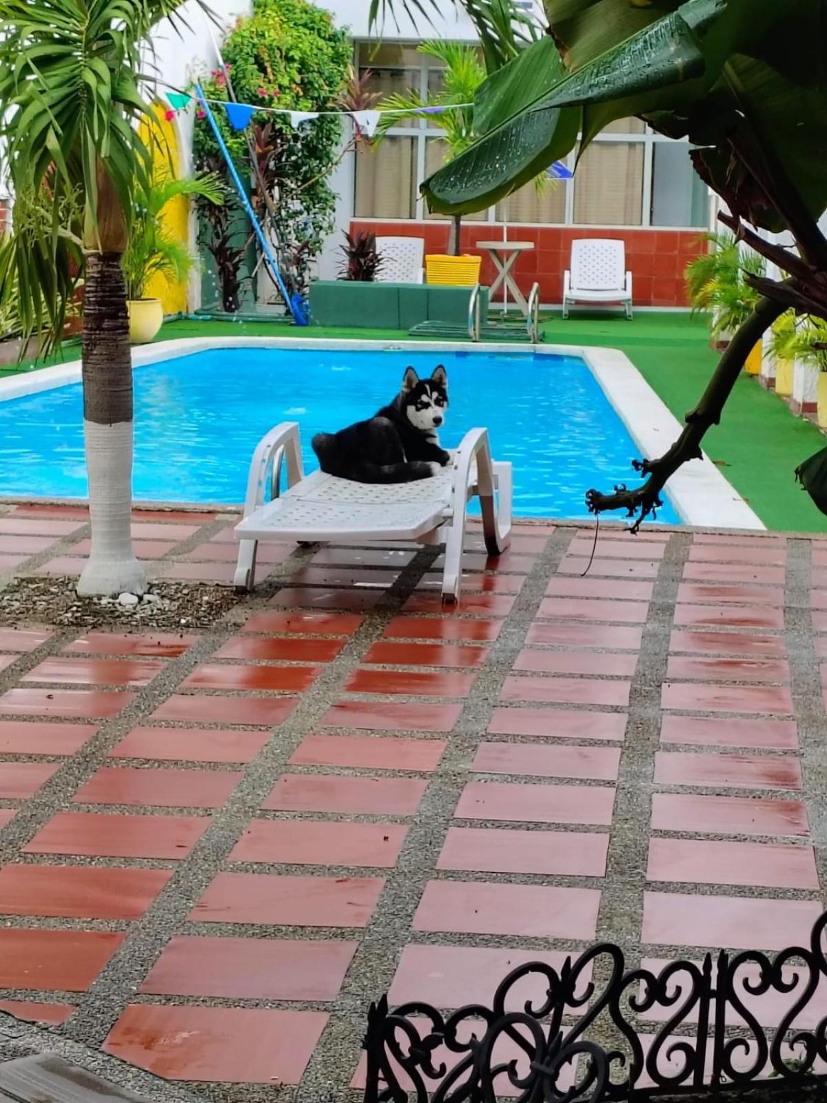 The Chill In Mansion Hostel Santa Marta المظهر الخارجي الصورة